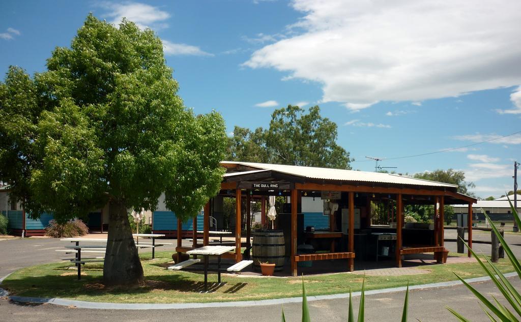 מלון Roma Big Rig Tourist Park מראה חיצוני תמונה